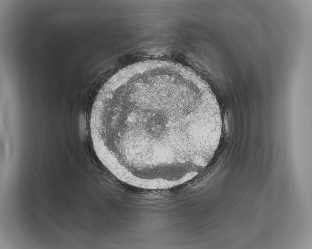 X0000111021347200907310923