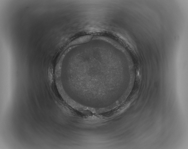 X0000111021348200907310923