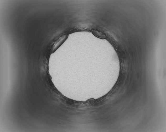 X0000111021349200907310923
