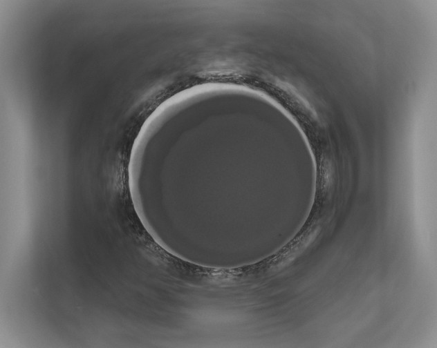 X0000111021350200907310923