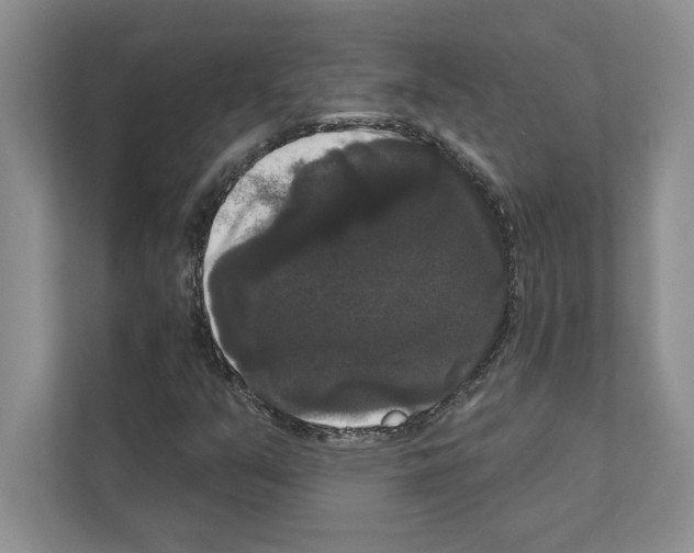 X0000111021351200907310923