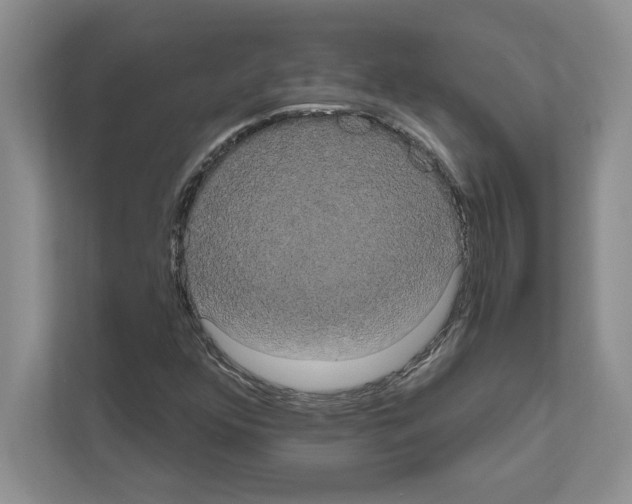 X0000111021352200907310923