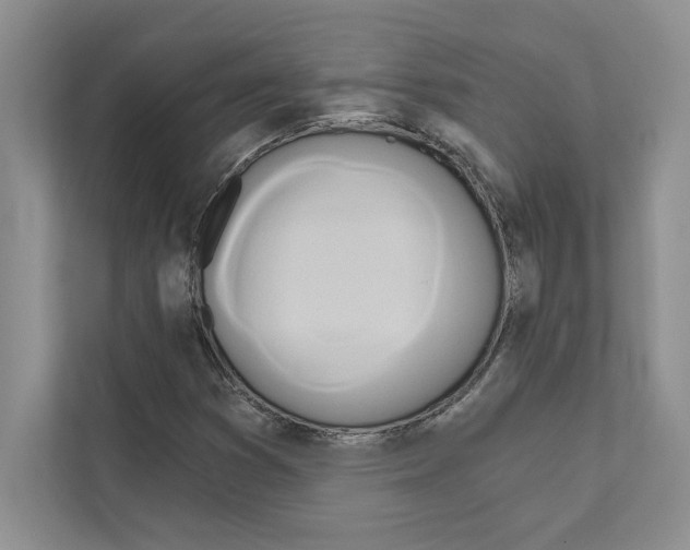 X0000111021353200907310923