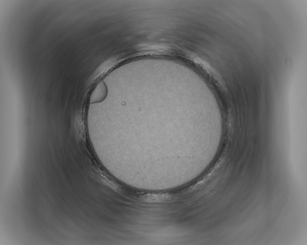 X0000111021354200907310923