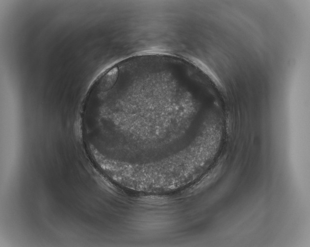 X0000111021356200907310923