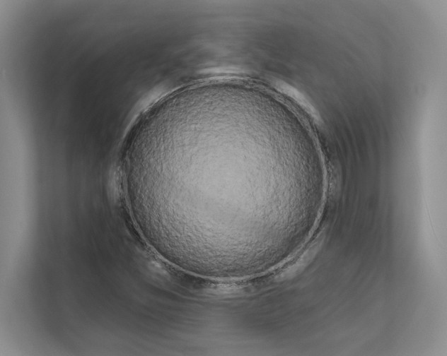 X0000111021357200907310923