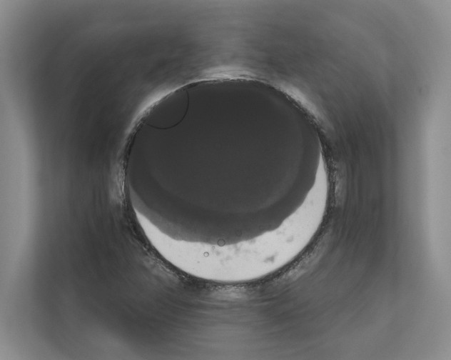 X0000111021358200907310923