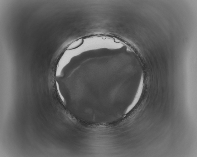 X0000111021359200907310923