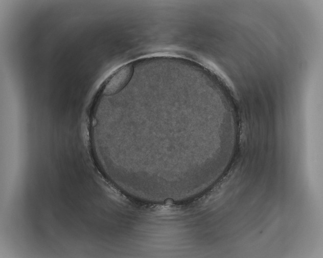 X0000111021360200907310923