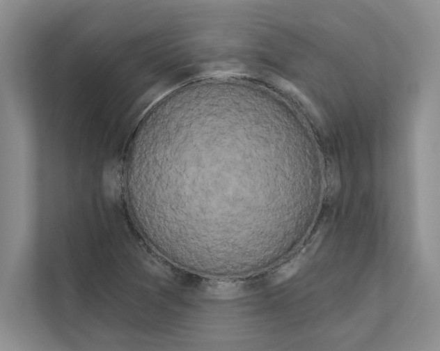 X0000111021361200907310923