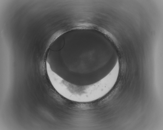 X0000111021362200907310923
