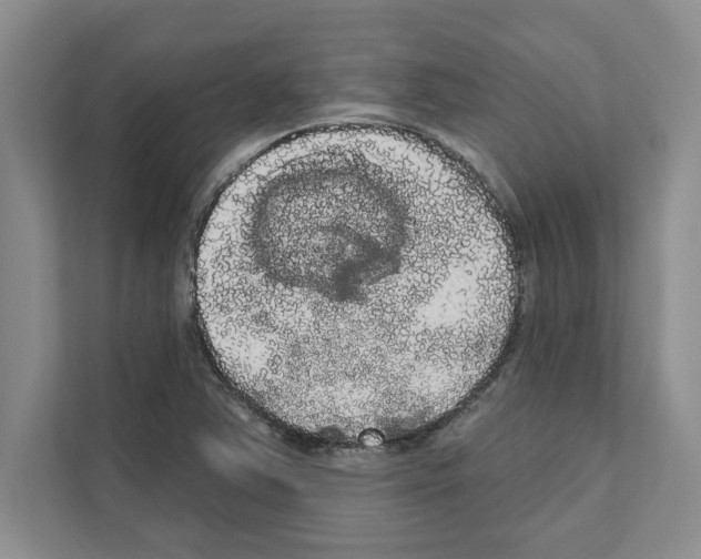 X0000111021363200907310923