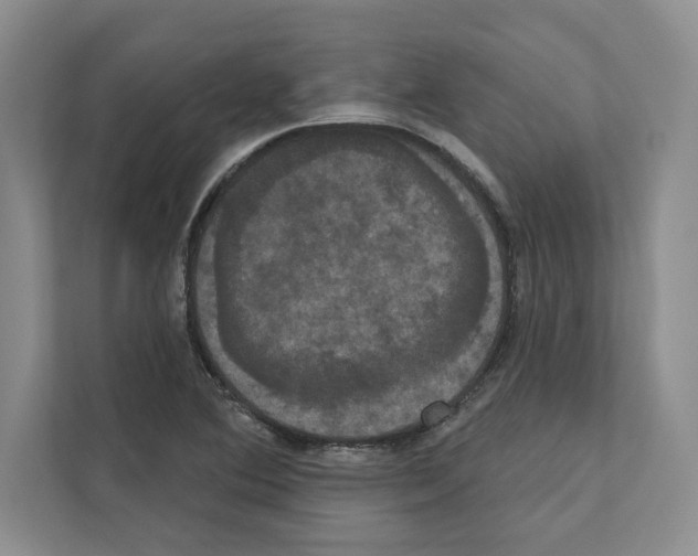 X0000111021364200907310923