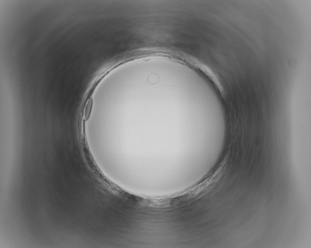 X0000111021365200907310923