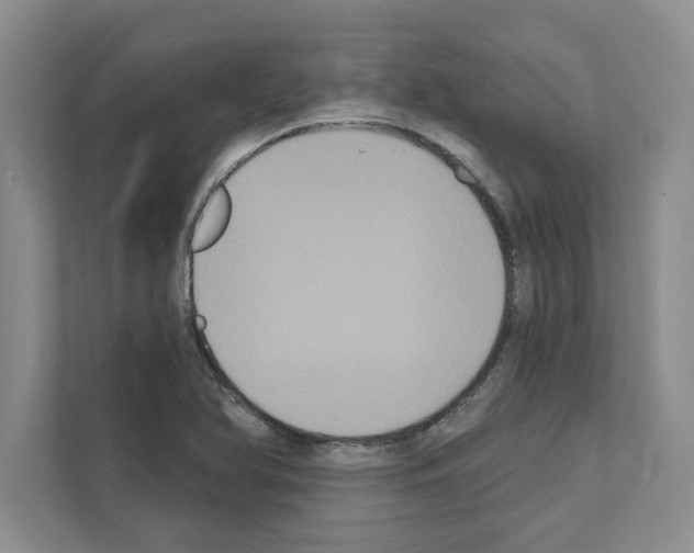 X0000111021366200907310923