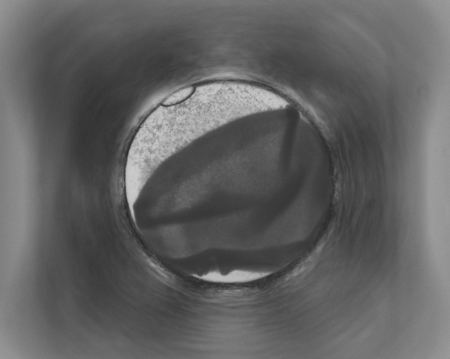 X0000111021367200907310923