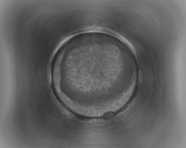 X0000111021368200907310923