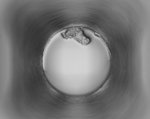 X0000111021369200907310923