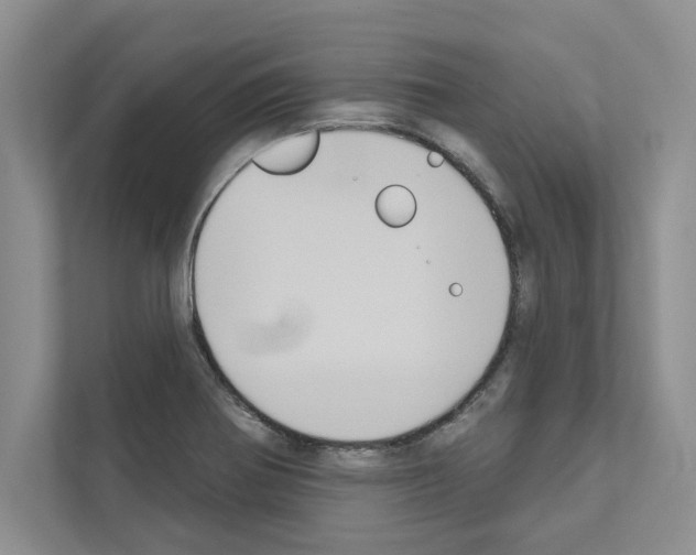 X0000111021370200907310923