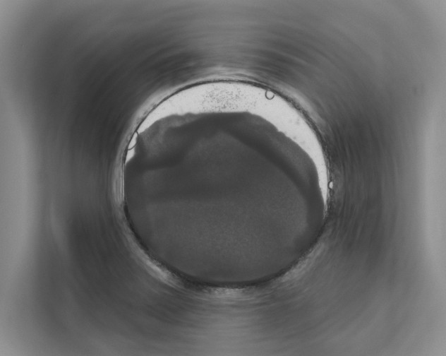 X0000111021371200907310923