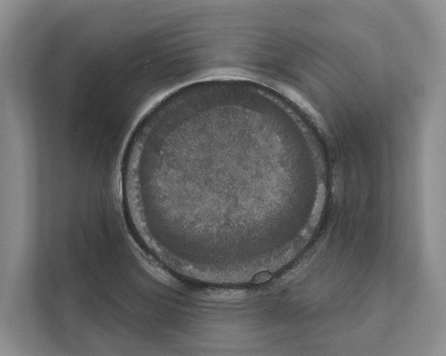 X0000111021372200907310923
