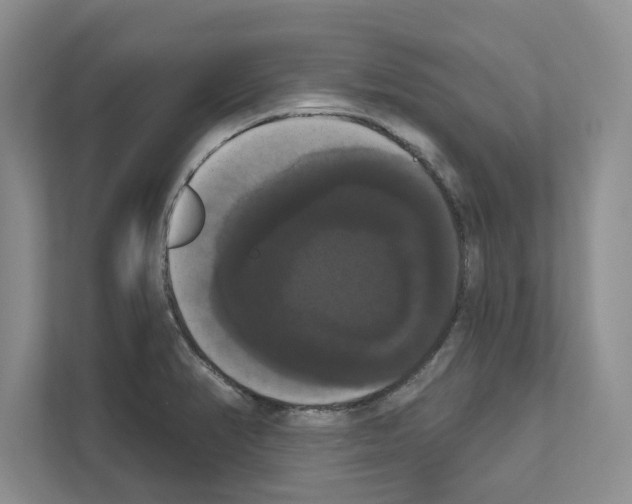 X0000111021374200907310923