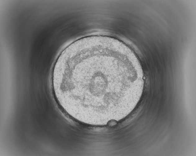 X0000111021375200907310923