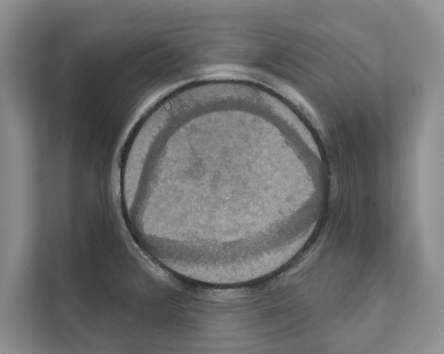 X0000111021376200907310923