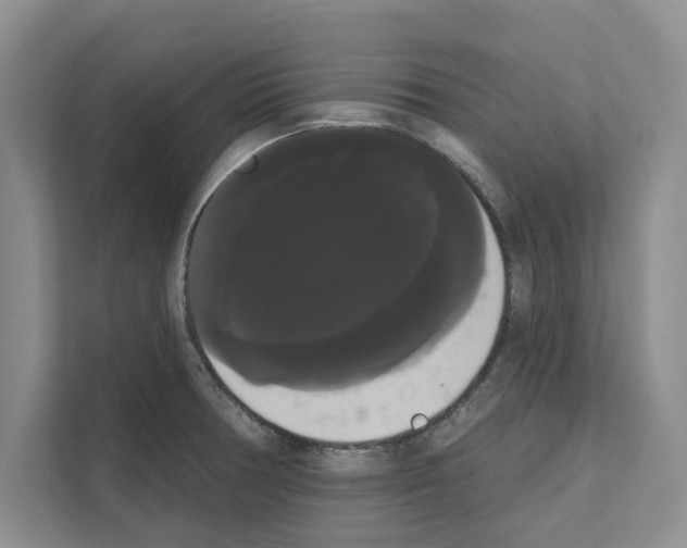 X0000111021378200907310923
