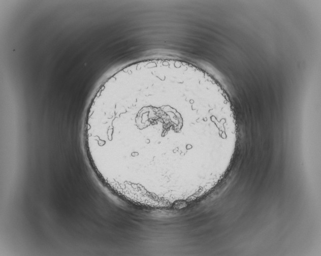 X0000111021379200907310923