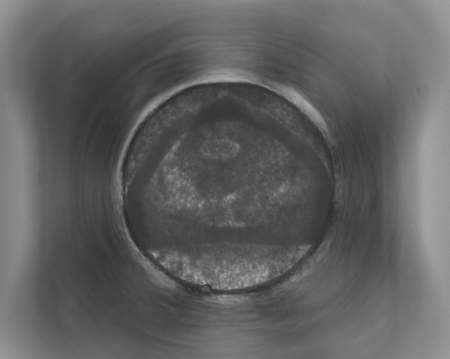 X0000111021380200907310923