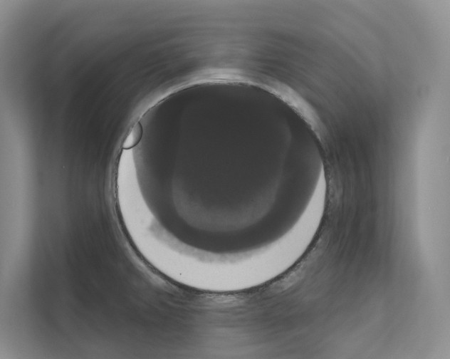 X0000111021382200907310923
