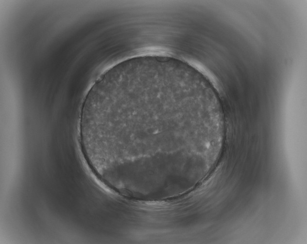 X0000111021383200907310923