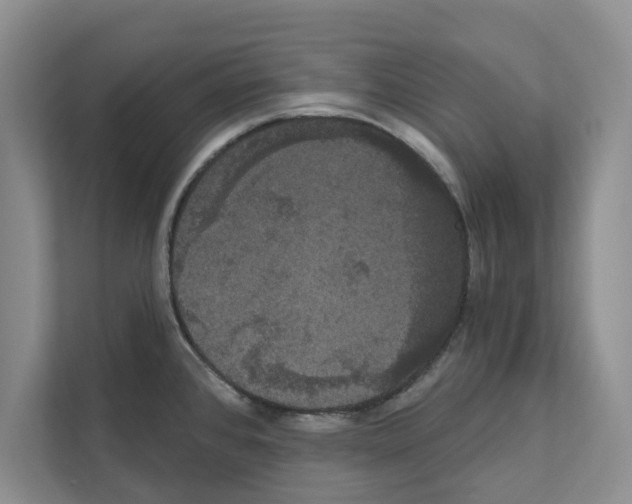 X0000111021384200907310923