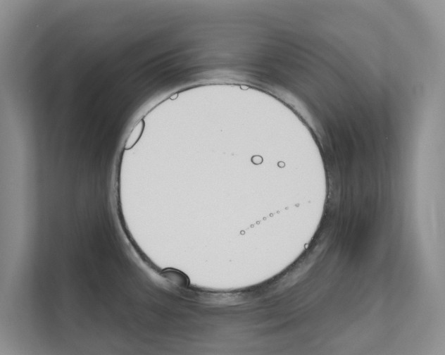 X0000111021387200907310923