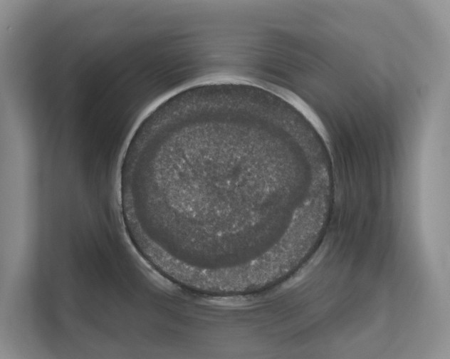 X0000111021388200907310923