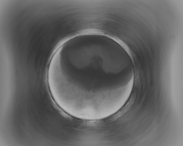 X0000111021390200907310923