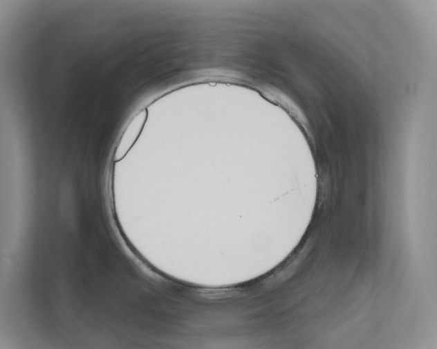 X0000111021391200907310923