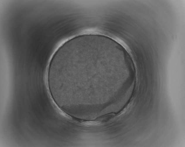 X0000111021392200907310923