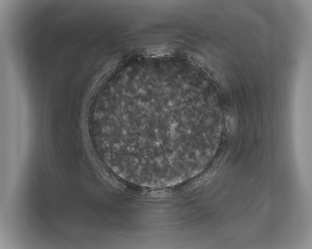 X0000111021393200907310922