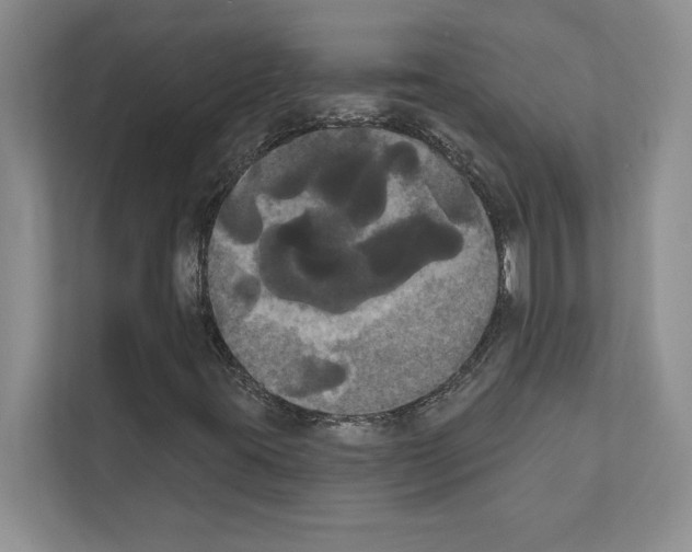 X0000111021395200907310922