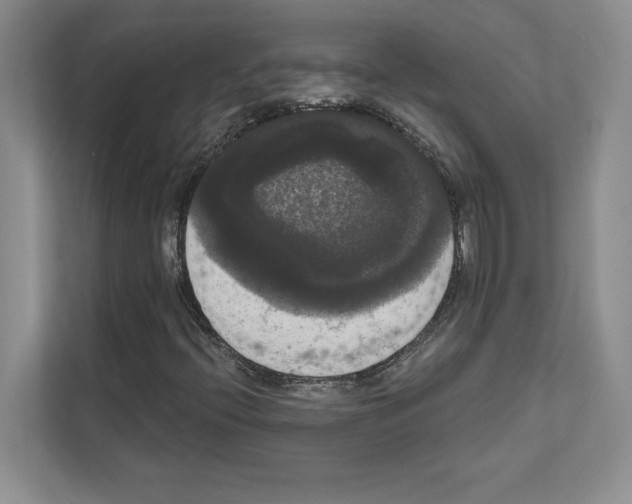 X0000111021396200907310922
