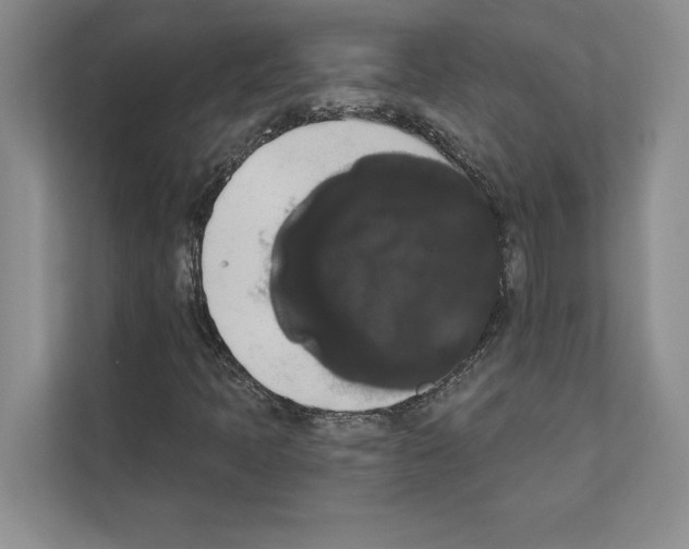 X0000111021397200907310922