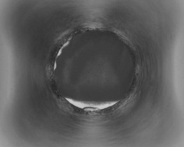X0000111021398200907310922