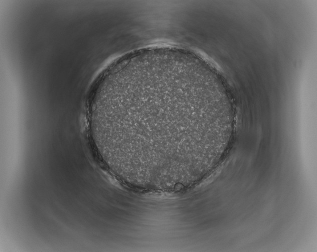 X0000111021400200907310922