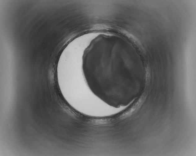 X0000111021401200907310922