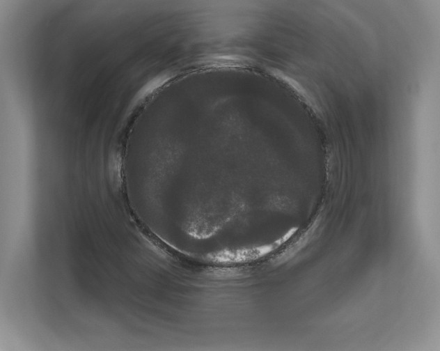 X0000111021402200907310922