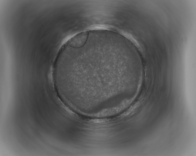 X0000111021404200907310922