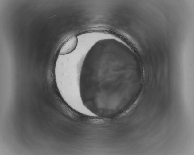 X0000111021405200907310922