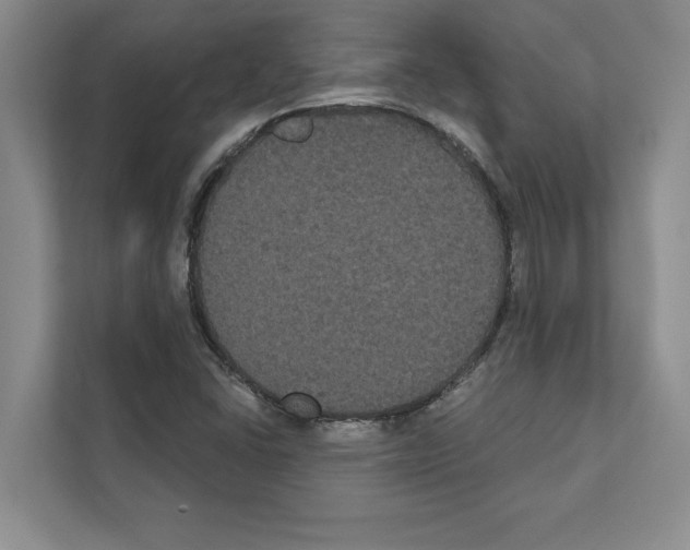 X0000111021406200907310922